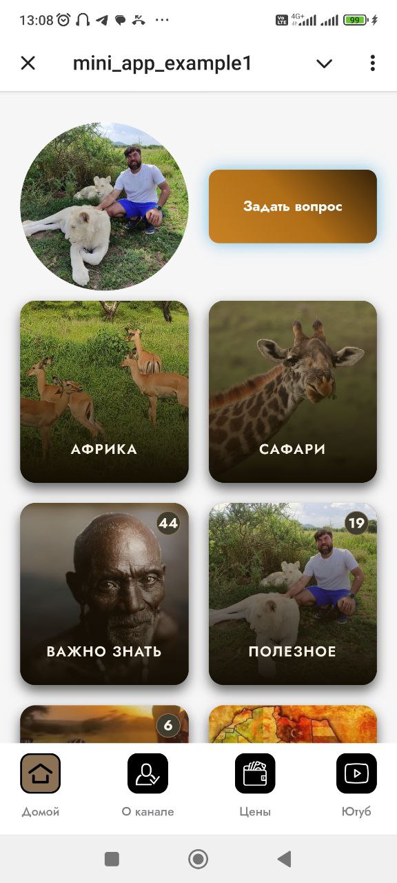 Mini App для тур оператора по Африке